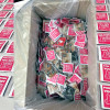 Promotional Condom Packs Bin